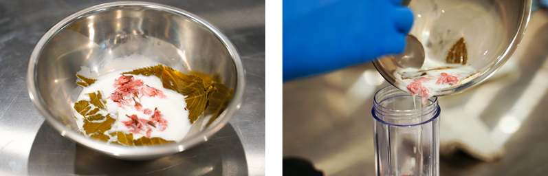 【春限定】お濃茶スイーツ専門店「雷一茶」が手掛ける、春めくふんわり抹茶スイーツ。桜&ストロベリーの「季節のお濃茶シュークリーム」が登場！