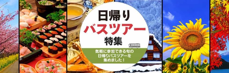 ハイキング日帰りツアーはなぜおすすめなのか？