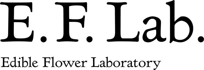 E.F.lab×Cake.jp　人気ブランドのパティシエにより生み出された、エディブルフラワーを使った美しくて美味しい花のケーキ・スイーツを販売開始！