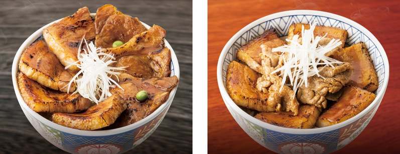 《旗の台店限定》ハーフ＆ハーフ丼〈並〉が期間限定600円！