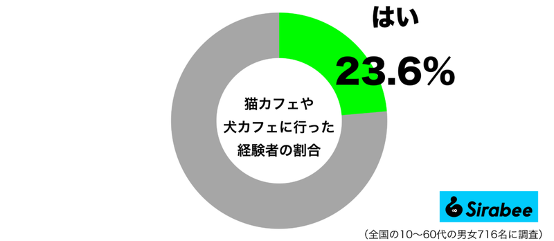 疲れたときには…　約2割が行った経験のある「癒やされるカフェ」の正体