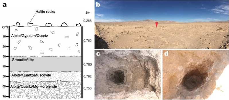 “火星生命発見”のために、地球で「火星にそっくりな砂漠」を調査する理由