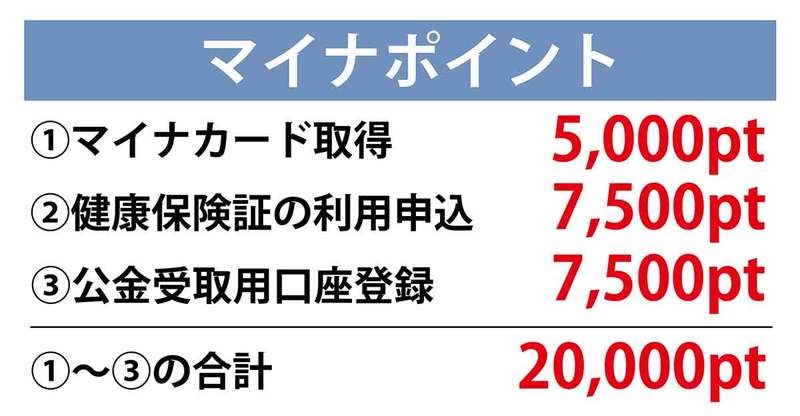 子どものマイナポイント申請時に注意したい6つのポイント – 筆者が実際に行って気づいたこと