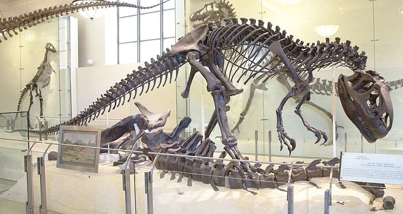 多くの恐竜発掘につながった2人の考古学者の「大喧嘩」とは