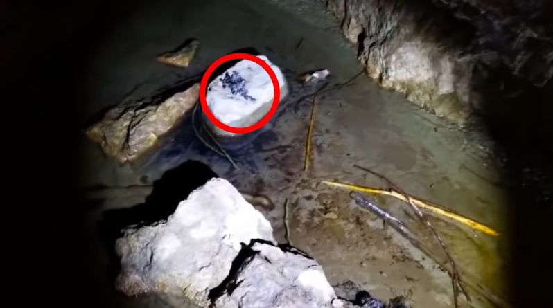ヘタすりゃ死ぬ！！ハイキング中に見つけた洞窟に入って発見したものとは！？皆さんは真似しないでください