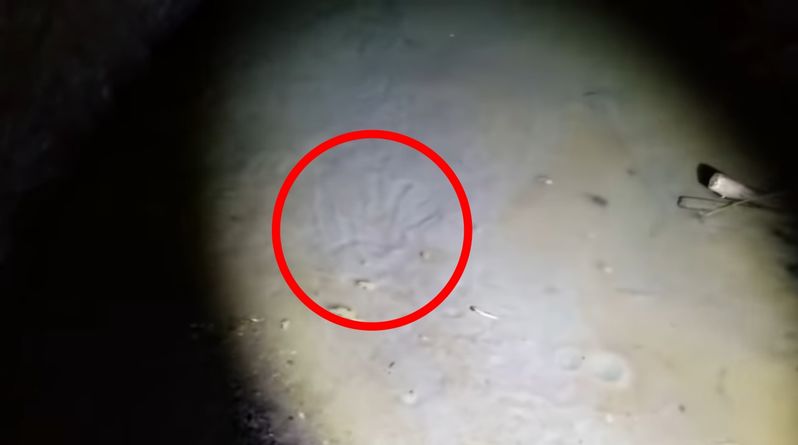 ヘタすりゃ死ぬ！！ハイキング中に見つけた洞窟に入って発見したものとは！？皆さんは真似しないでください
