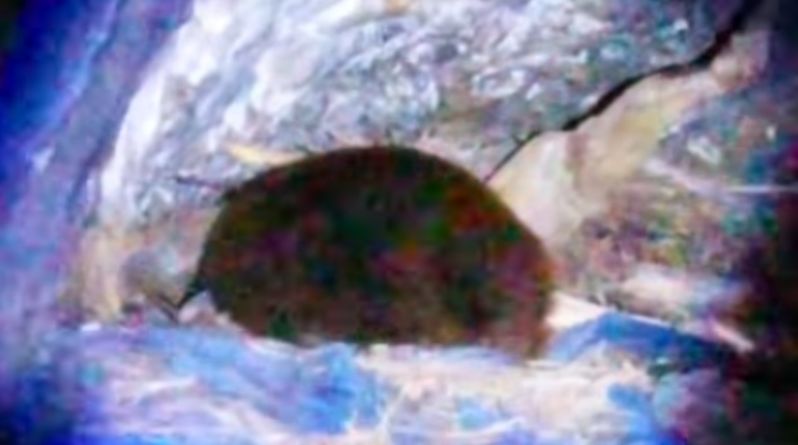 ヘタすりゃ死ぬ！！ハイキング中に見つけた洞窟に入って発見したものとは！？皆さんは真似しないでください