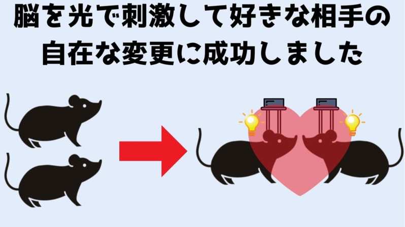 脳に刺したLEDで「友情」を遠隔操作する研究