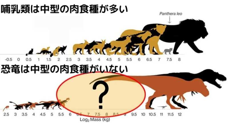 馬サイズの「中型恐竜」が存在しなかった理由をついに解明！