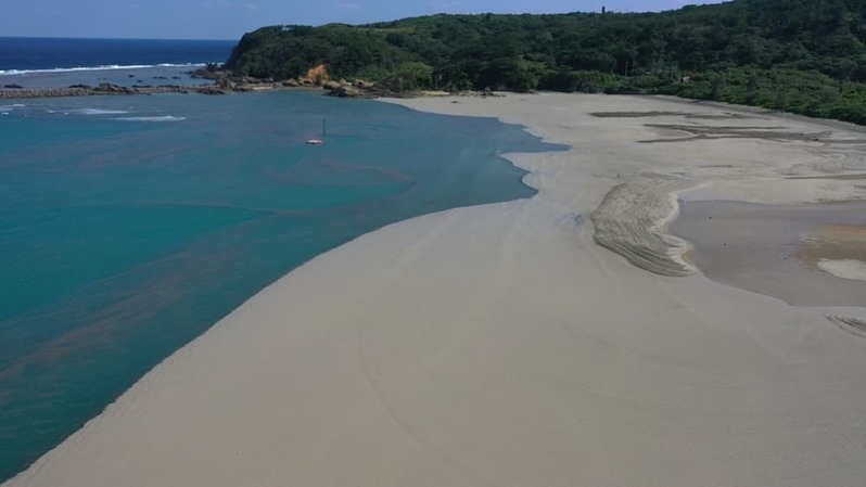 軽石の海を潜るとそこには暗闇と謎の生物が 〜沖縄本島北部の軽石状況レポート〜