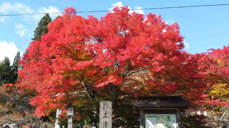 絶景を一望、福島県の紅葉スポット9選！眺めが最高でドライブにもオススメ！