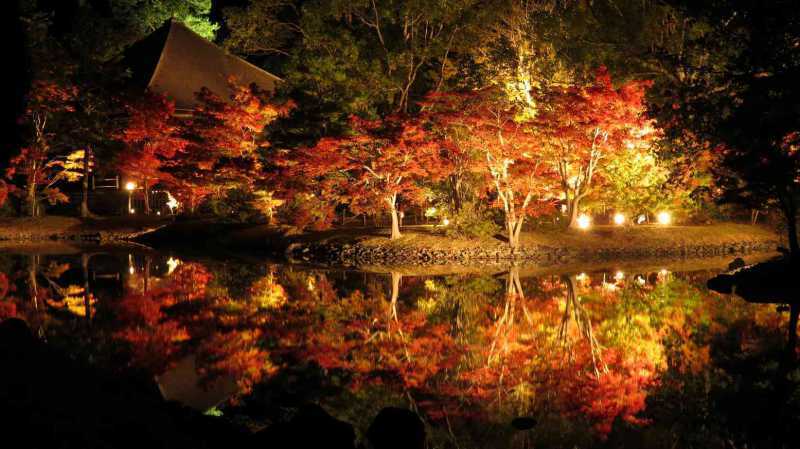 絶景を一望、福島県の紅葉スポット9選！眺めが最高でドライブにもオススメ！