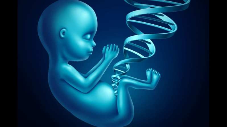 遺伝子検査により「優れた受精卵」を選別する試みが始まる　倫理的な問題を克服できるのか