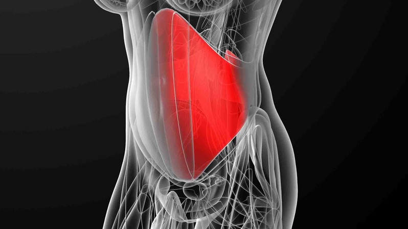 腹筋ストレッチの正しいやり方を徹底解説！筋トレとあわせて行うと効果大！