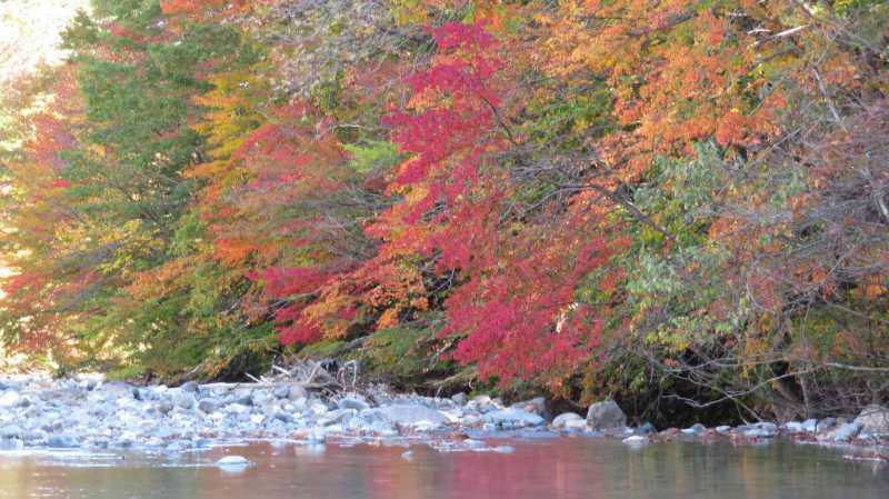 絶景を一望、福島県の紅葉スポット9選！眺めが最高でドライブにもオススメ！