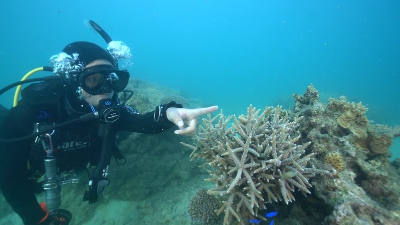 軽石の海を潜るとそこには暗闇と謎の生物が 〜沖縄本島北部の軽石状況レポート〜
