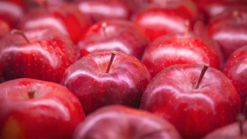 世界初「リンゴの蜜」ができる仕組みを細胞レベルで明らかに