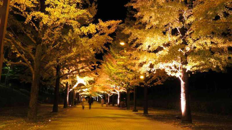 絶景を一望、福島県の紅葉スポット9選！眺めが最高でドライブにもオススメ！