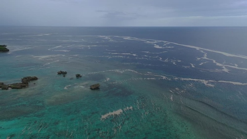 軽石の海を潜るとそこには暗闇と謎の生物が 〜沖縄本島北部の軽石状況レポート〜