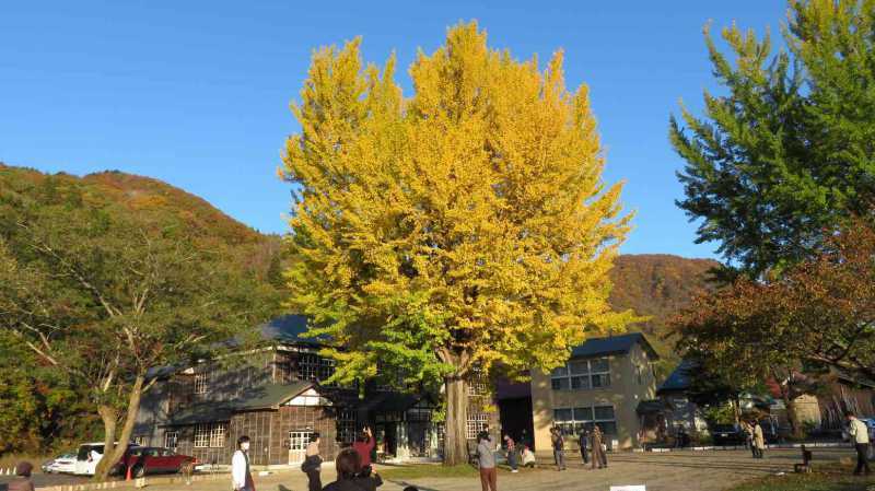 絶景を一望、福島県の紅葉スポット9選！眺めが最高でドライブにもオススメ！