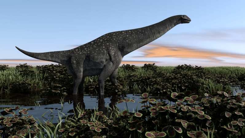 希少な恐竜の胎児の化石から奇妙な特徴が見つかる「不自然な位置にツノ」
