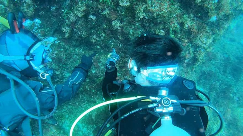 “海藻ダイビング”ってナニ!? 海藻づくしの1日を編集部・セリーナがレポート＠東伊豆