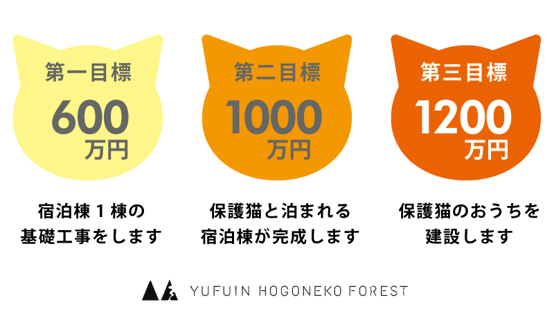 【保護猫×アウトドア】体験型テーマパーク「YUFUIN HOGONEKO FOREST」がクラファン開始