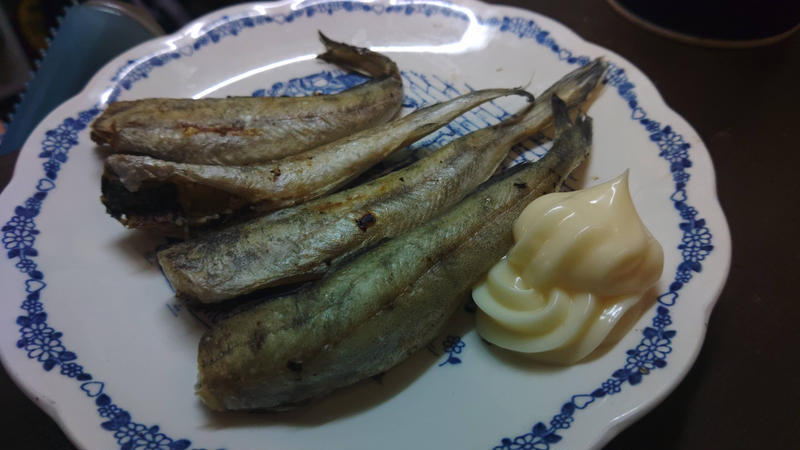 お魚の目利きが経営する!北八王子の激安居酒屋『のんでっ亭』