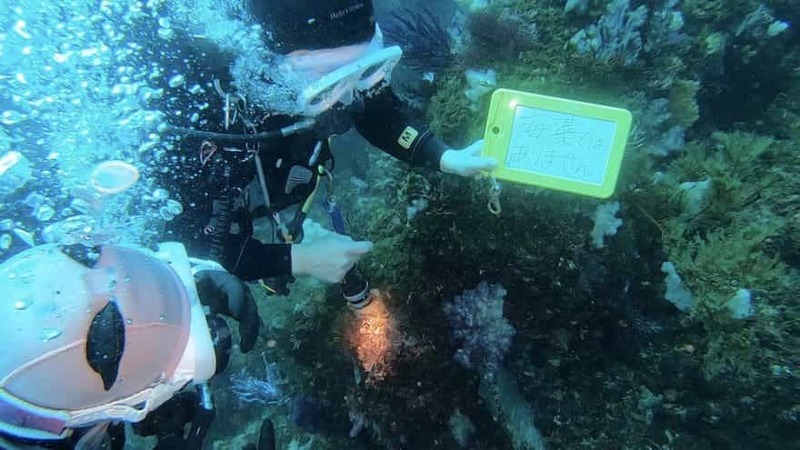 “海藻ダイビング”ってナニ!? 海藻づくしの1日を編集部・セリーナがレポート＠東伊豆