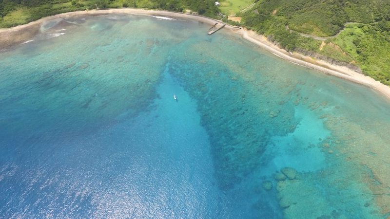 【鹿児島県・奄美大島】ダイバー必見！2022年秋、全国各地のガイドたちが薦める海はここだ！ 連載No.13