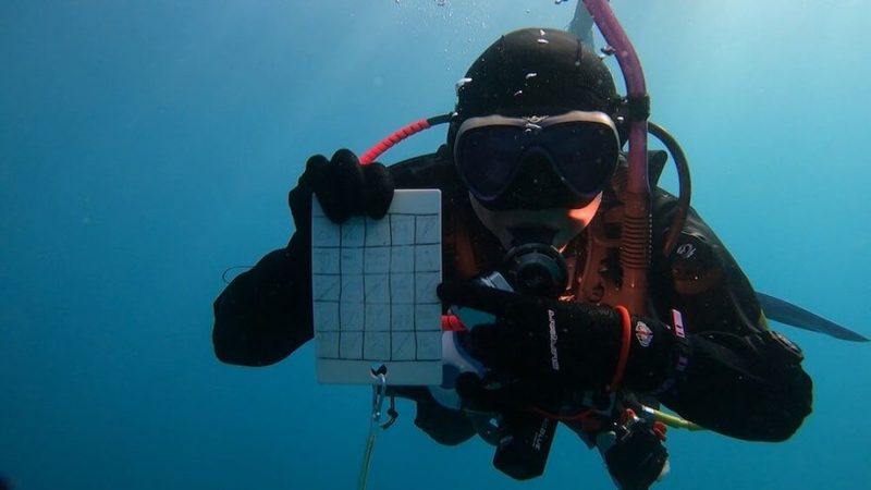 “海藻ダイビング”ってナニ!? 海藻づくしの1日を編集部・セリーナがレポート＠東伊豆