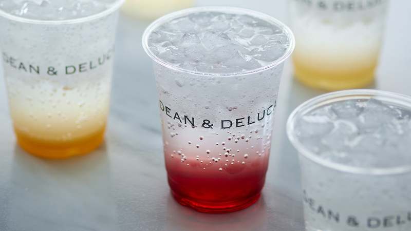 【DEAN & DELUCA】夏季限定　コーディアルシロップでたのしむ、夏のアイスクリームソーダ