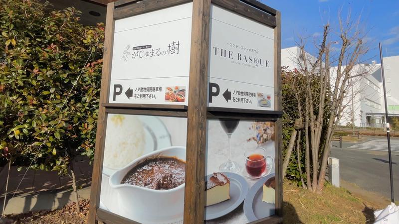 黒カレーとバスクチーズが絶品！八王子みなみ野『がじゅまるの樹』