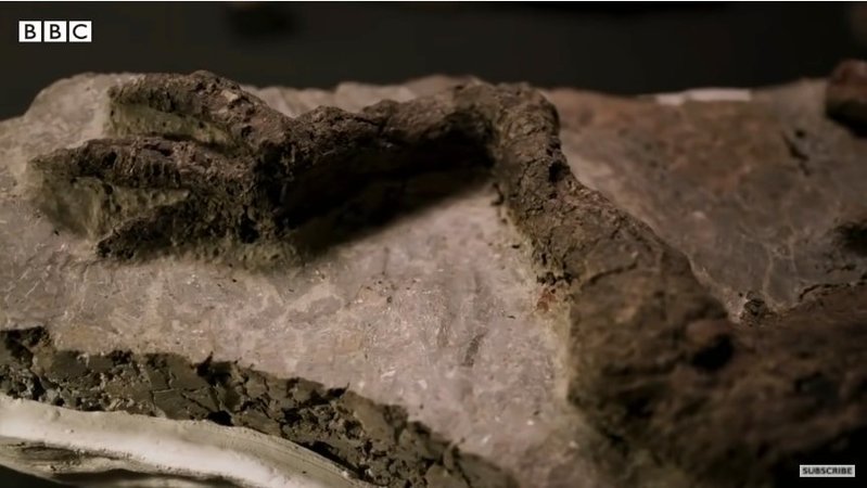 史上初、「隕石落下の衝撃」で死んだ恐竜の化石を発見か