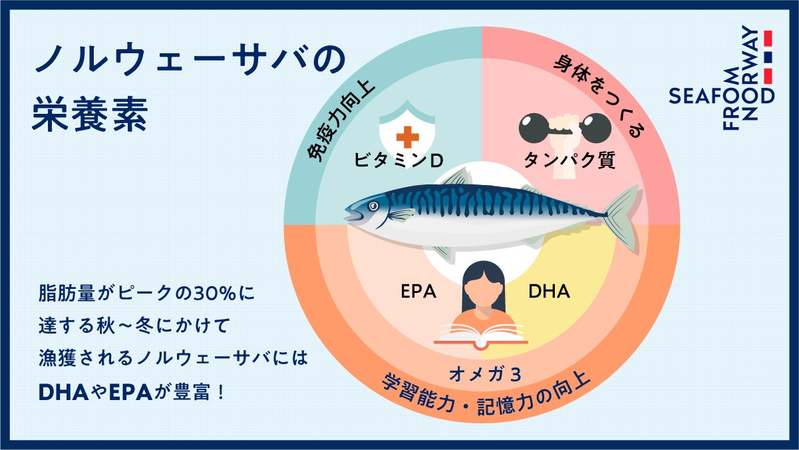 3月8日は「サバの日！」日本の食卓におなじみの万能魚「サバ」、実は約半数がノルウェー産！