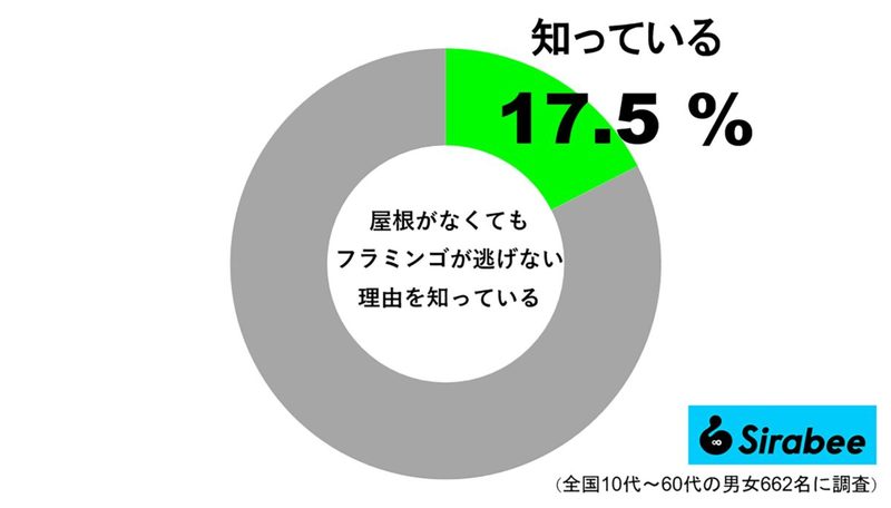 知っている人は2割以下、飛べない鳥と思っていた人も…　フラミンゴが脱走しない理由とは