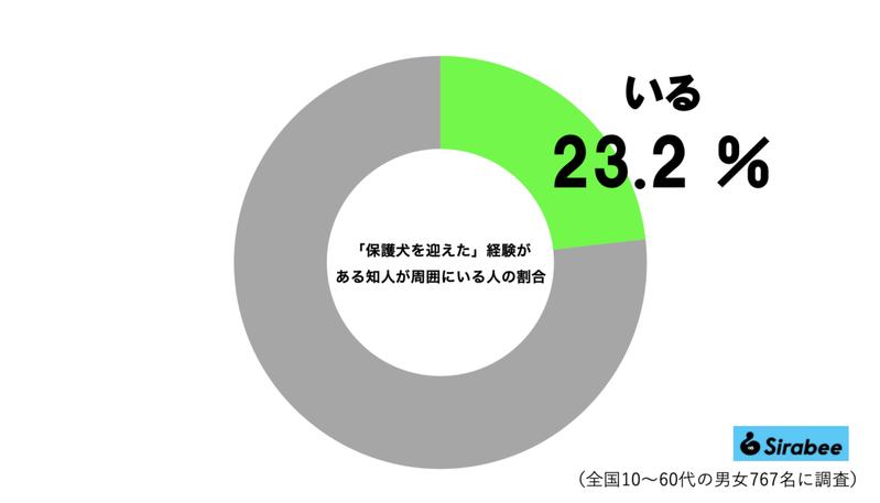 しっぽに毛が無い保護犬、譲渡から1年の変貌に目を疑う　「ここまで変わる？」と驚きの声も…