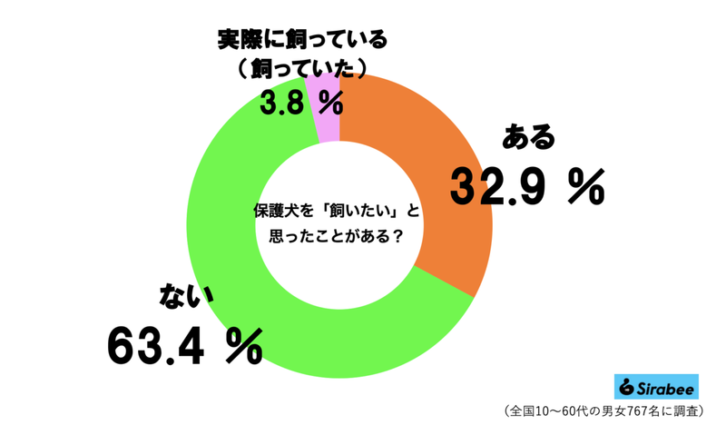 しっぽに毛が無い保護犬、譲渡から1年の変貌に目を疑う　「ここまで変わる？」と驚きの声も…