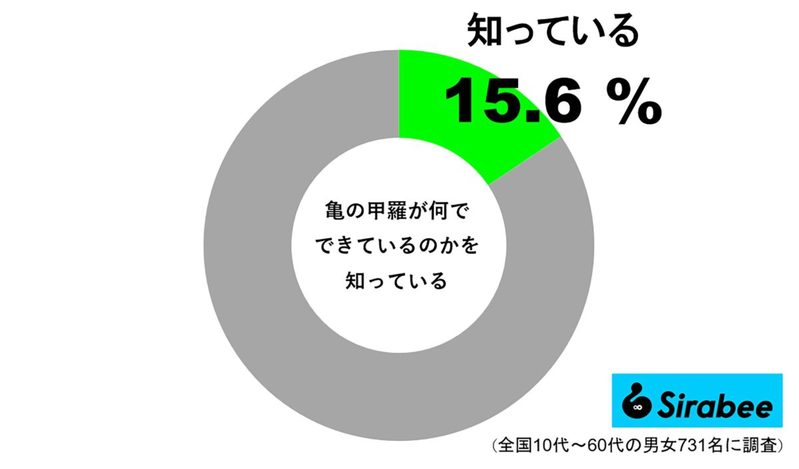 “長寿の象徴”縁起の良い生き物とされる亀　その硬い「甲羅の正体」は…