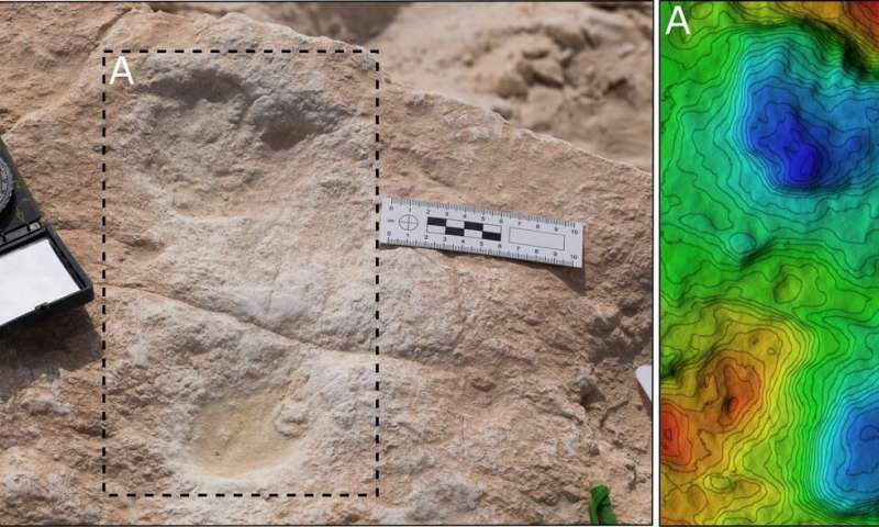 アラビア半島で「約12万年前の人類の足跡」を発見！”出アフリカ横断中”の足跡か