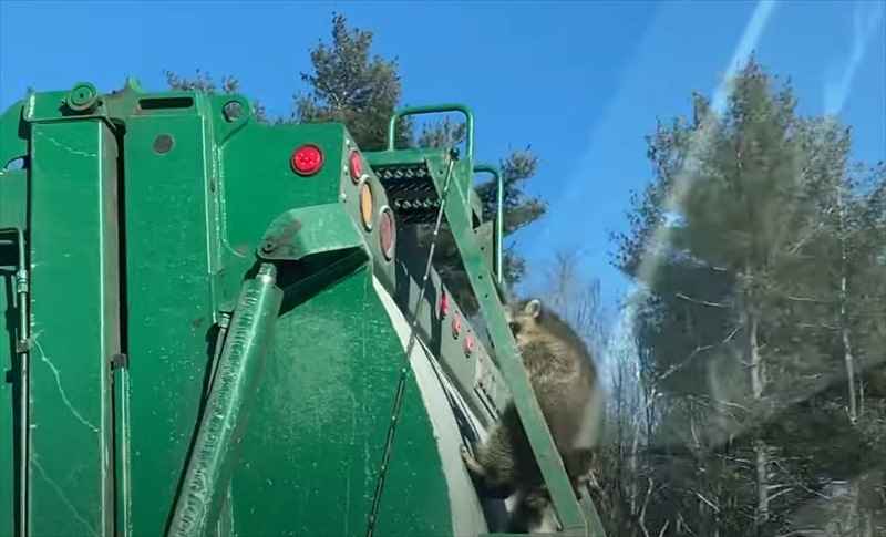 高速道路を走行中に出くわしたまさかの光景。目の前を走るゴミ収集車の後ろには意外すぎる『珍客』の姿が！