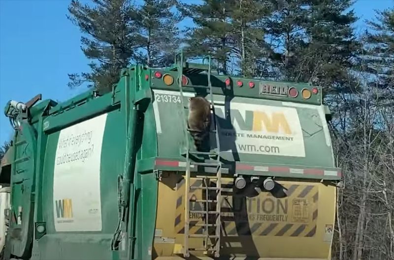 高速道路を走行中に出くわしたまさかの光景。目の前を走るゴミ収集車の後ろには意外すぎる『珍客』の姿が！