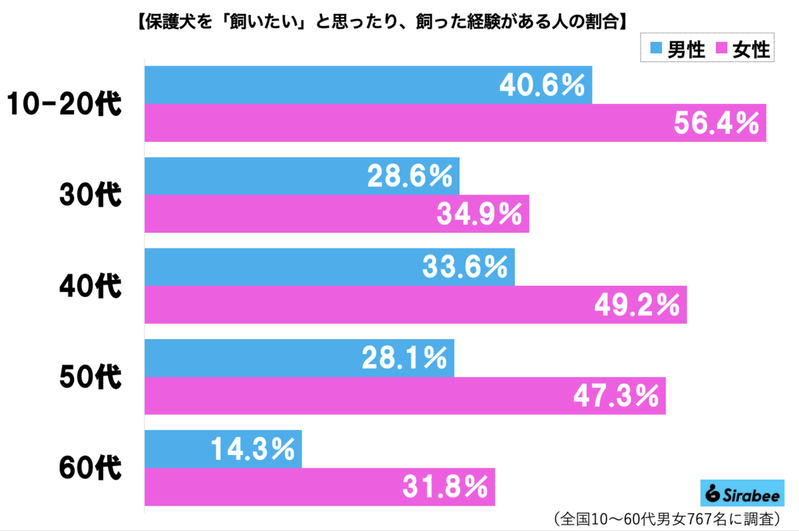 しっぽに毛が無い保護犬、譲渡から1年の変貌に目を疑う　「ここまで変わる？」と驚きの声も…