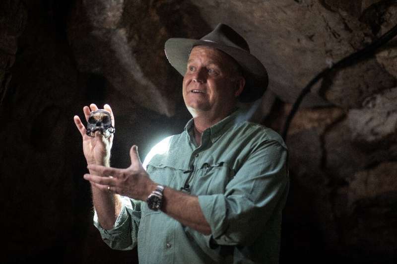 25万年前に絶滅した小型ヒト属の「こぶしサイズの頭蓋骨」を発見