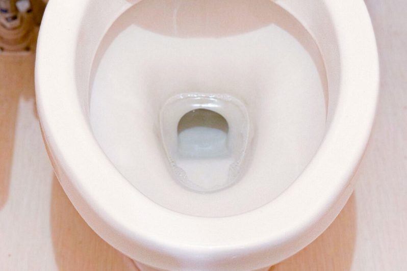 閲覧注意だった汚トイレが…　“コレ”だけで劇的つるピカ「業者に頼んだかと思うレベル」