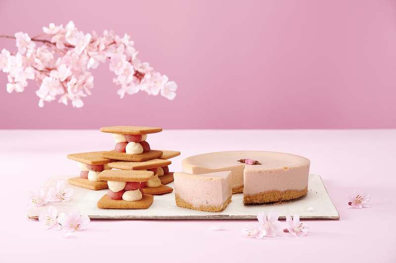 【nana's green tea】春を詰め込んだ華やかな「桜ギフトボックス」がオンラインショップ限定で登場（受注販売期間：2/27～3/13）