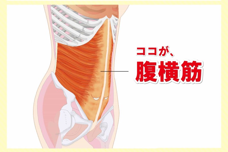 腹筋をシックスパックに割る筋トレメニューを徹底解説！