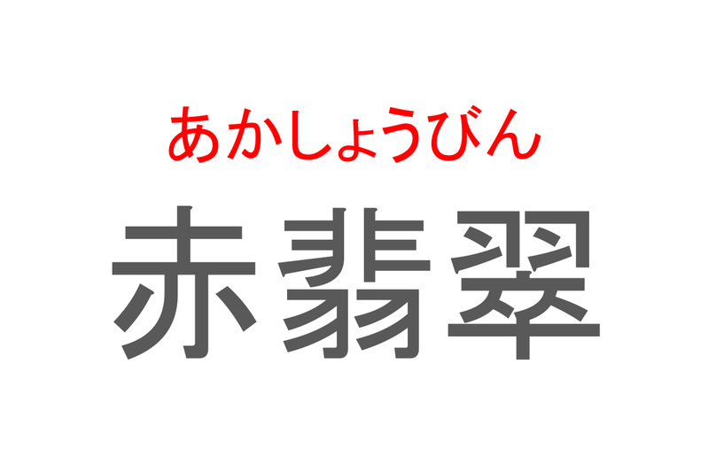 【読めたらスゴイ！】「赤翡翠」とは一体何のこと！？宝石ではなく美しい生き物ですが・・・この漢字を読めますか？