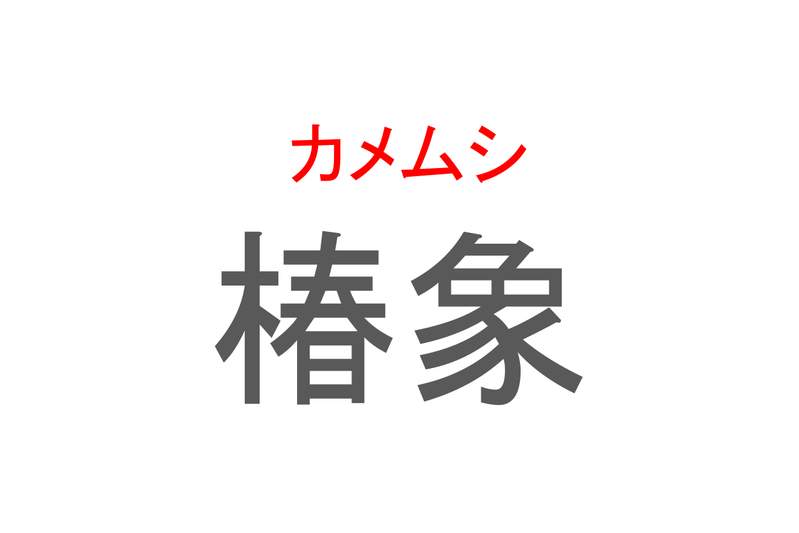 【読めたらスゴイ！】「椿象」とは一体何のこと！？キツい臭いを放つあの昆虫のことですが・・・この漢字を読めますか？