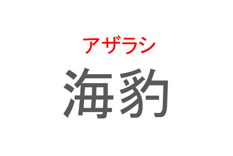 【読めたらスゴイ！】「海豹」とは一体何のこと！？かわいい水族館の人気者ですが・・・この漢字を読めますか？